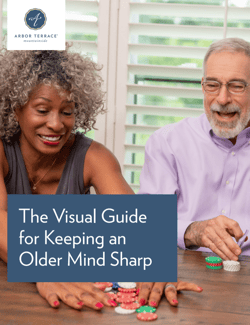 Mountainside - The Visual Guide for Keeping an Older Mind Sharp - Cover