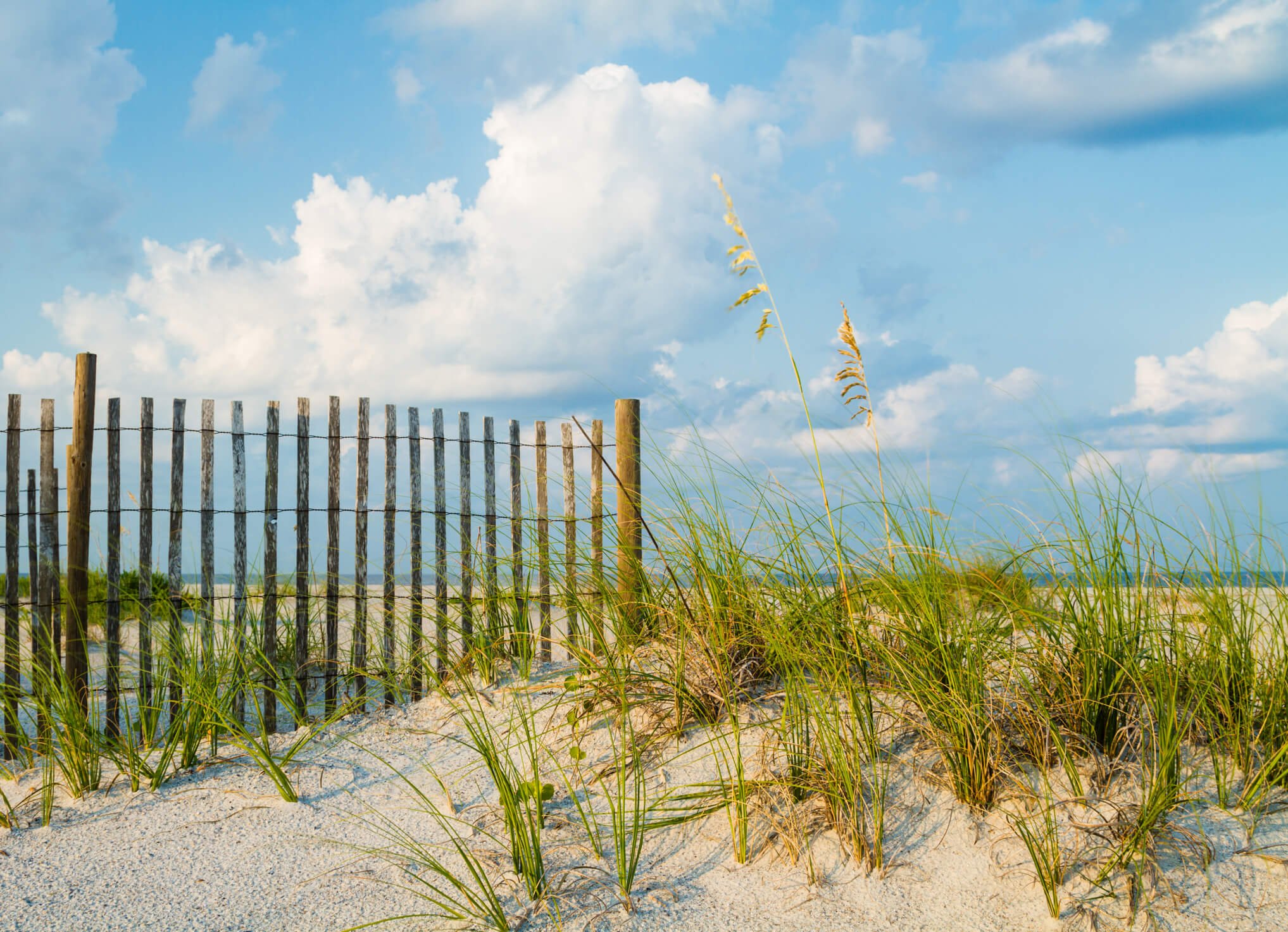 Backpage Amelia Island